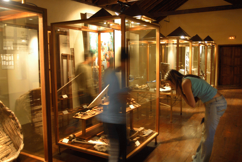 Exposition d’objets dans des vitrines dans un musée à Tenerife avec des visiteurs observant.