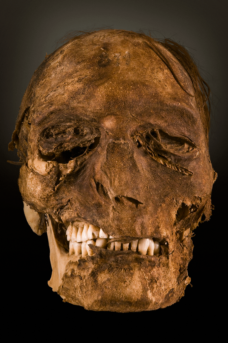 Un crâne exposé dans un musée à Tenerife.