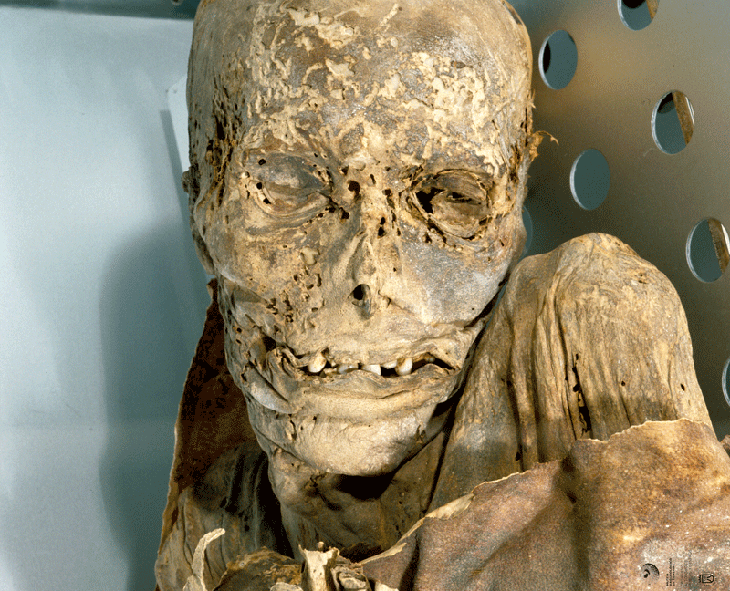 Momie guanche dans un musée à Tenerife avec des détails visibles sur le visage et le corps conservés.