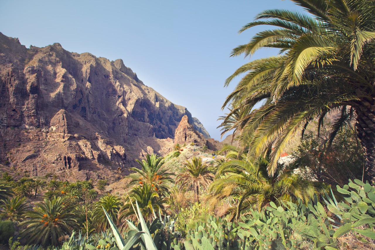 Montagnes et palmiers dans le paysage de Masca, Tenerife.