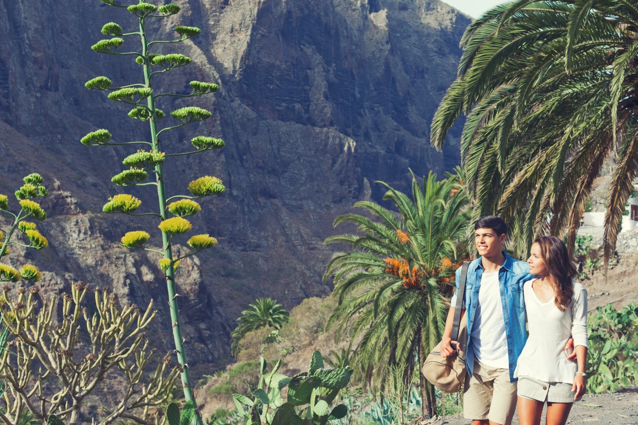 Couple marchant sur un sentier entouré de palmiers et de cactus à Tenerife.