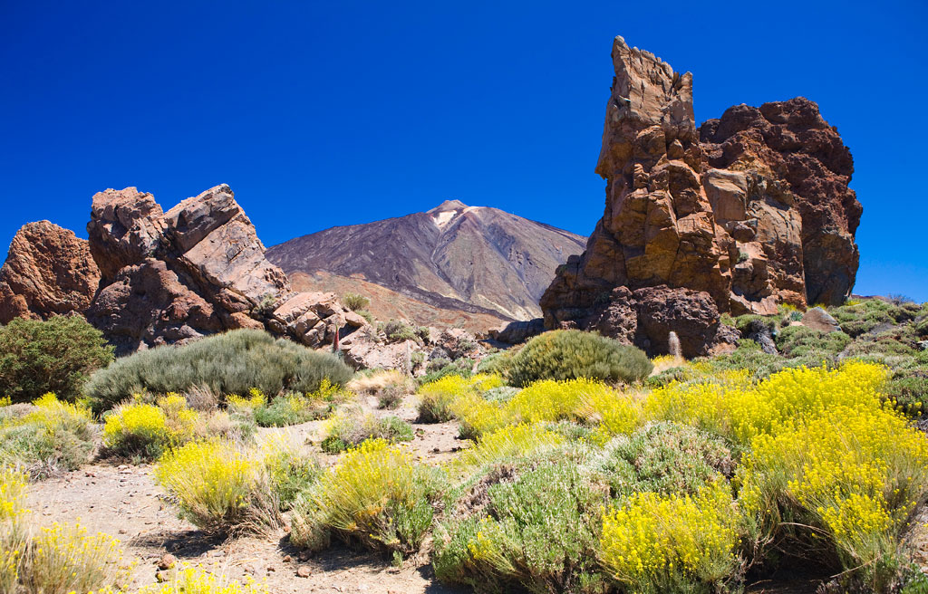 Paysage rocheux avec une flore jaune et le mont Teide en arrière-plan, Tenerife.