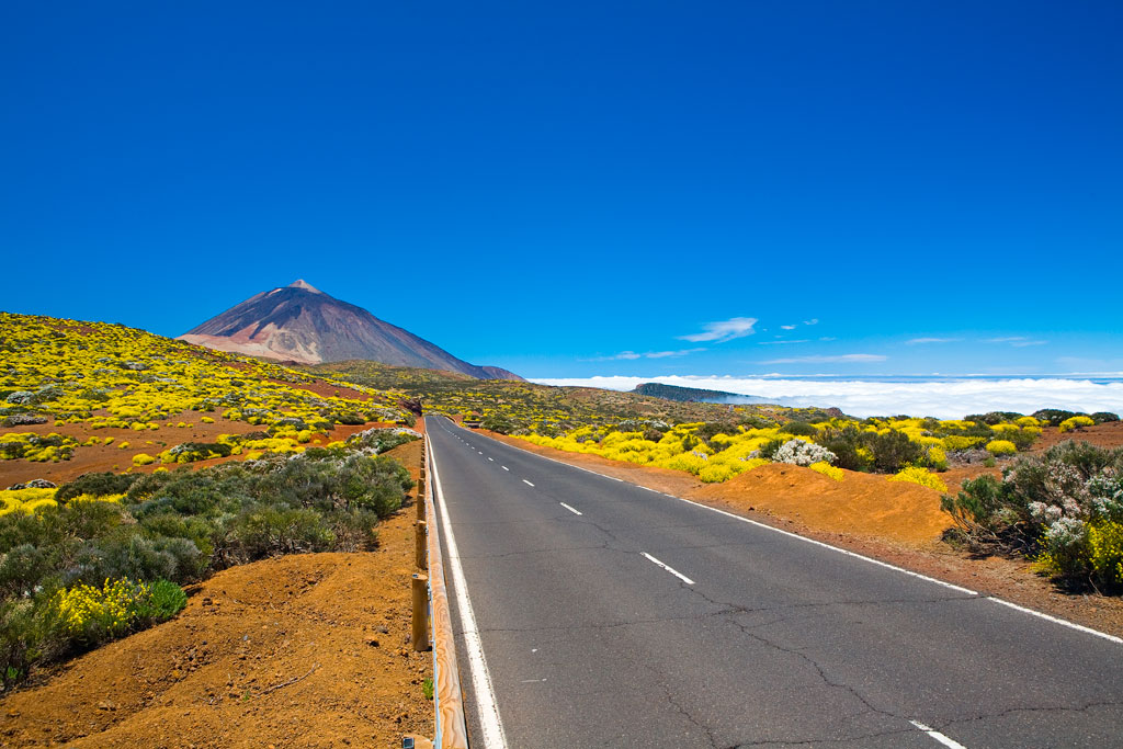 Route vers le mont Teide à Tenerife, entourée de végétation et de ciel dégagé.