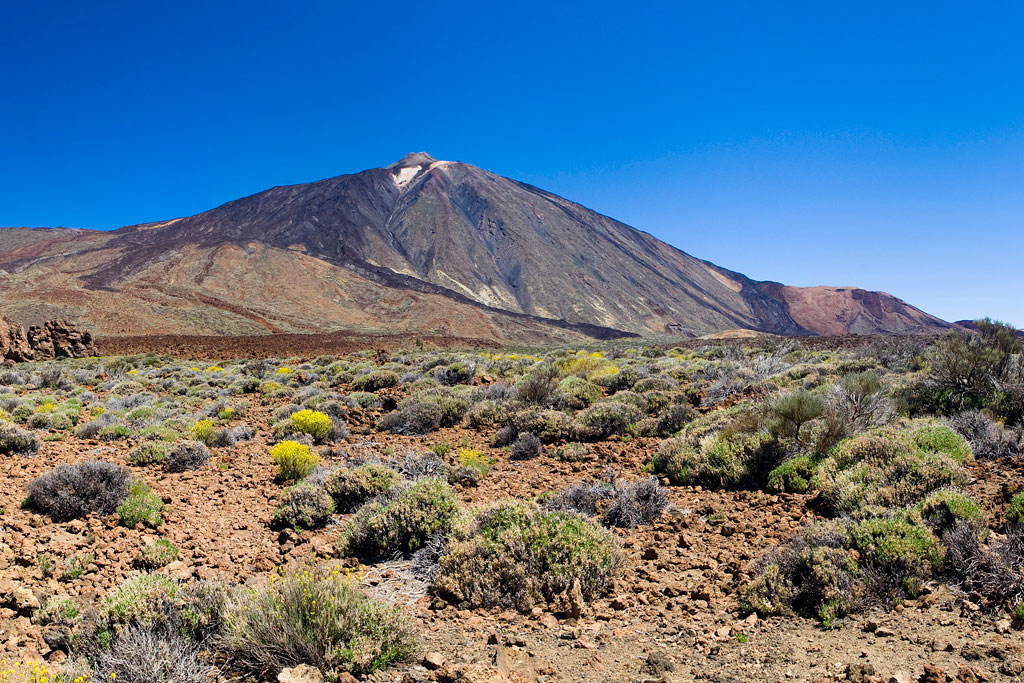 Paysage du mont Teide à Tenerife avec végétation et ciel dégagé.