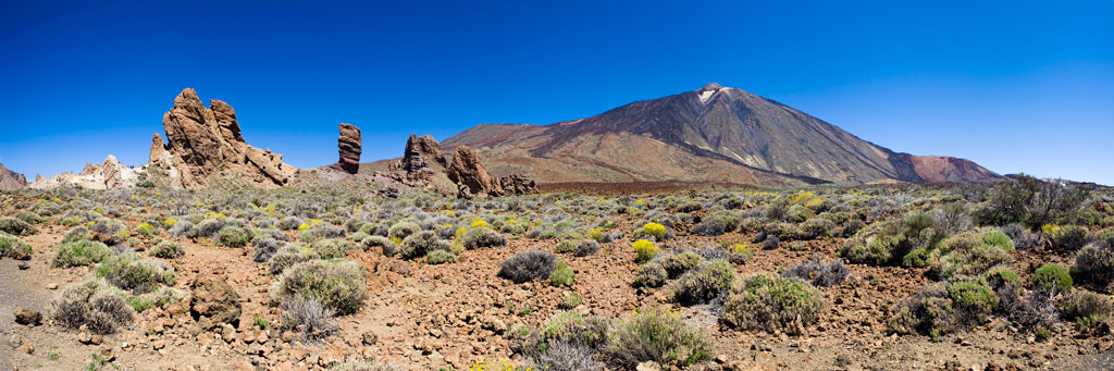 Paysage du mont Teide à Tenerife avec des formations rocheuses et une végétation aride.
