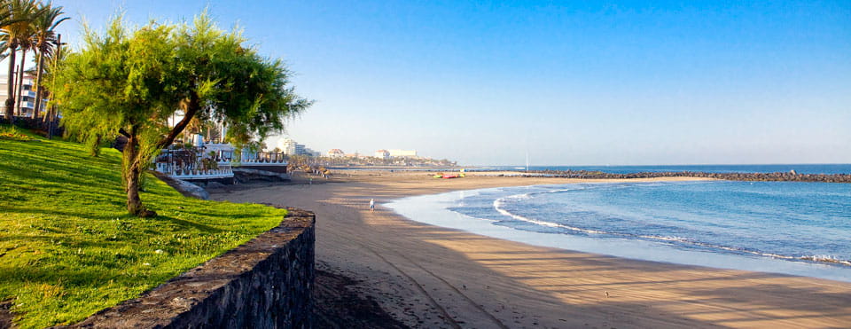 Temperatura primaveral