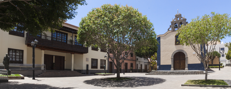 Almácigo de Arona (Árbol Monumento)