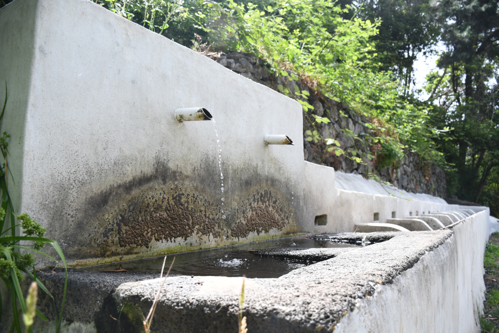 Fontaine d’eau à la campagne à La Laguna, Tenerife, entourée de verdure.