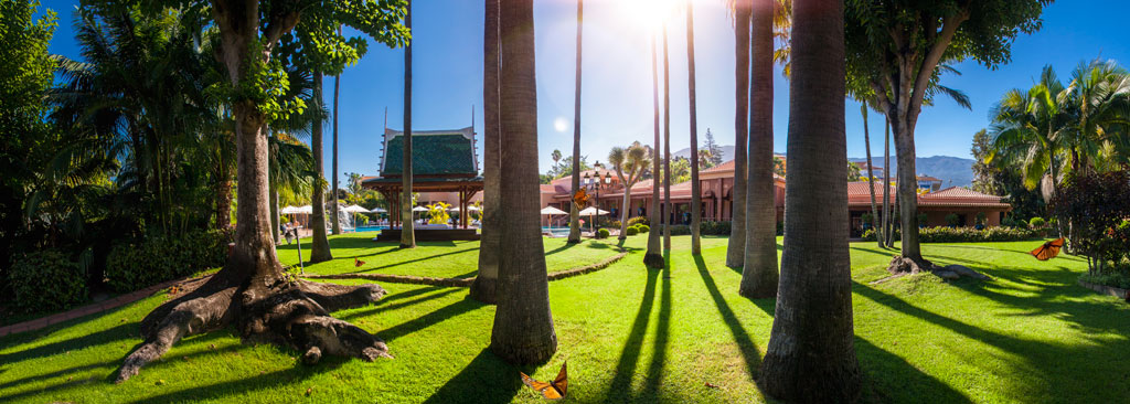 Jardin avec palmiers et bâtiment dans un parc à Tenerife sous le soleil.